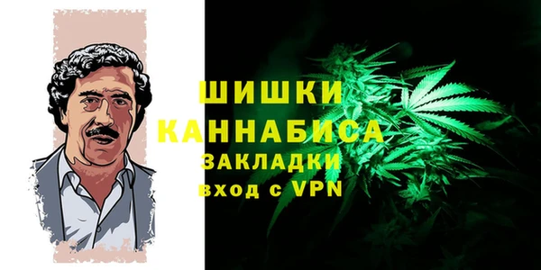 сатива Богородицк