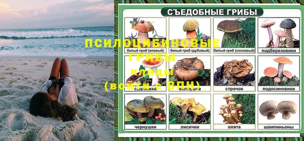 сатива Богородицк