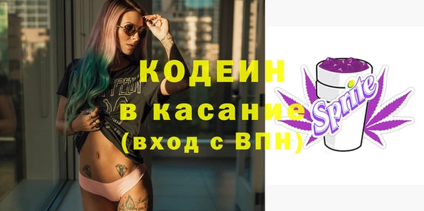 сатива Богородицк