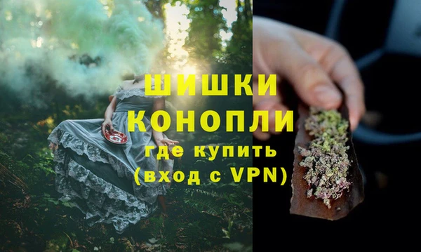 сатива Богородицк