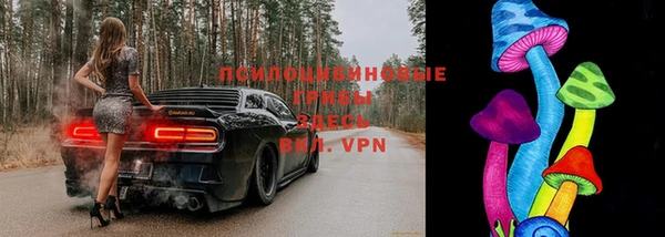 сатива Богородицк
